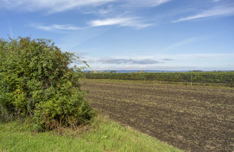 Field Clearing in Houston, TX